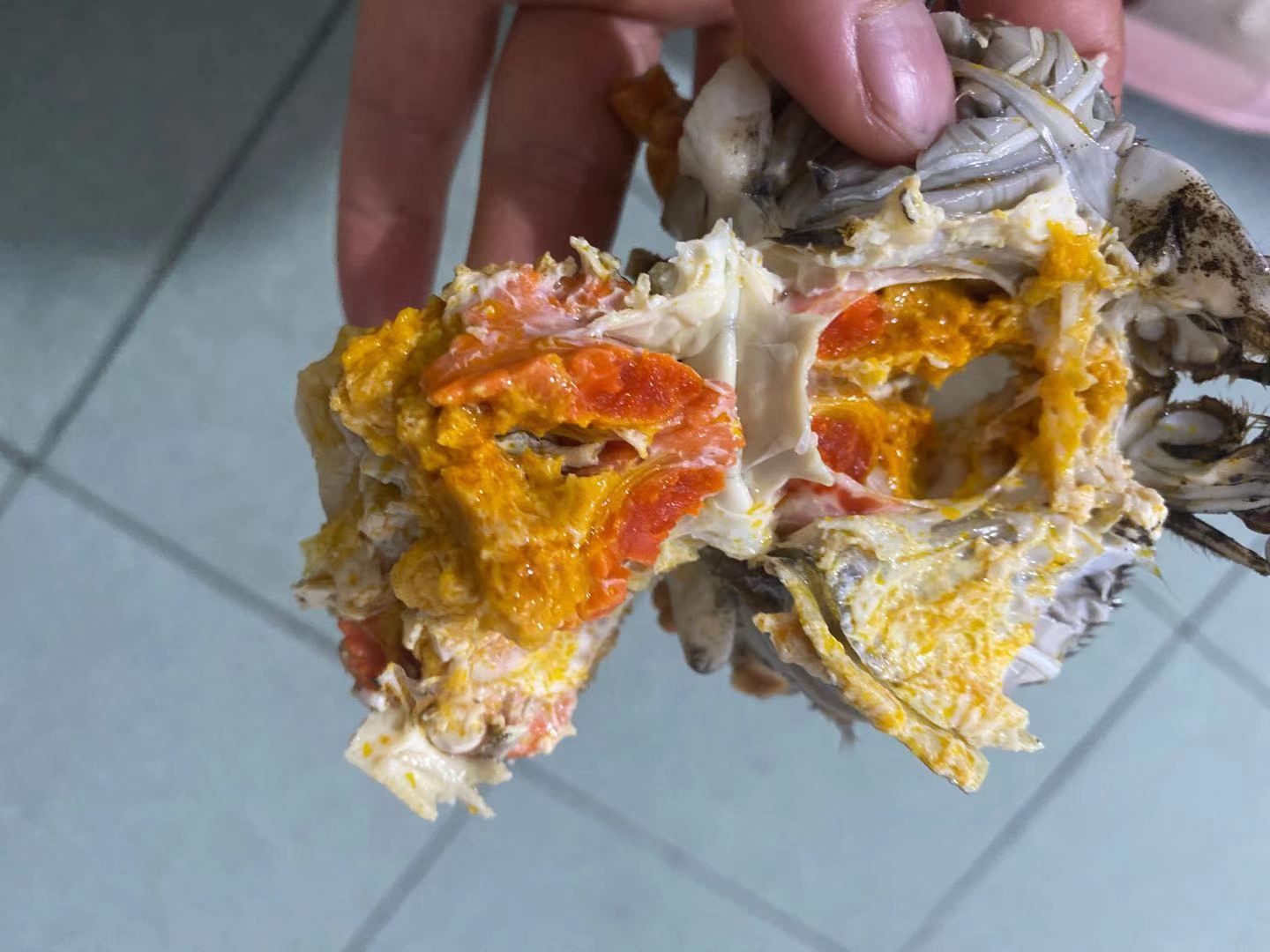  产地直达，一手货源，长期供货，优质大闸蟹，精品蟹