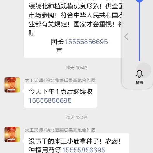 太和县 上海青小青菜大量上市热销中！！！