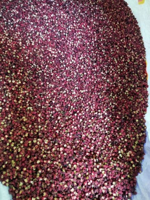 大红袍花椒  2022汉源贡椒，红花椒，特麻，包邮，送密封袋
