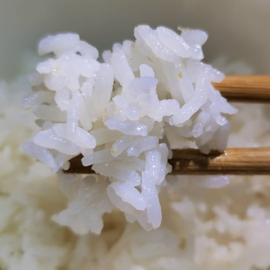 哈尔滨胚芽米 北大荒 正宗东北当季带胚芽鲜米 现脱壳 稻花香 10斤包邮