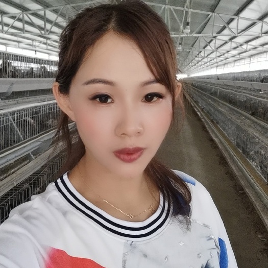 江门山鸡苗  七彩山鸡种苗基地，自养种鸡孵化30余年，厂家直销