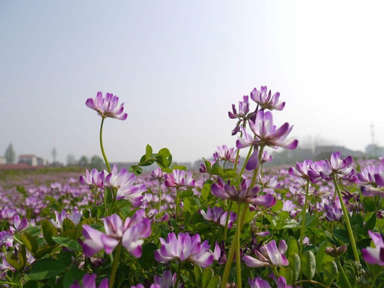 ǨӢӺ컨Դ̷߲ʳҰ