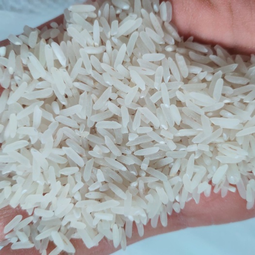 桂林泰优390大米