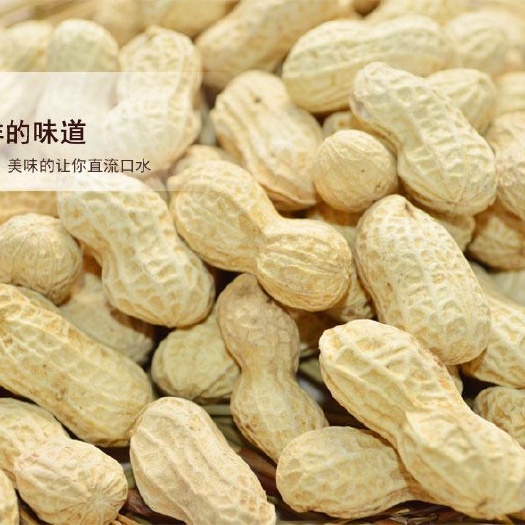 龙岩带壳花生  加工手法特殊，采用湿烤等多种方式，让花生又香又有嚼劲