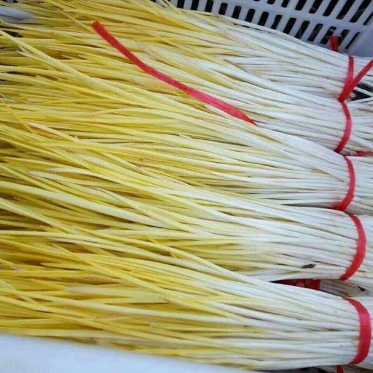 邯郸精品蒜黄，大蒜，蒜苔