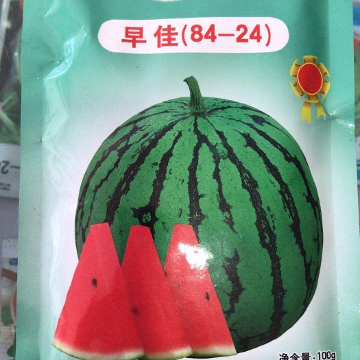 温岭市早佳8424西瓜苗  出售 预定 8424 美都 等西瓜苗 各种西瓜苗品质保证