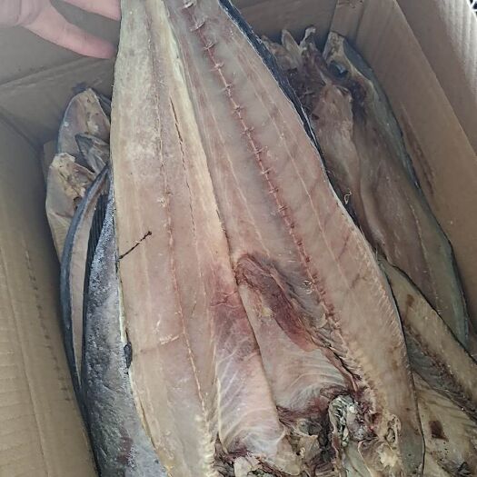 滨州刀鲅鱼，净22斤，咸鱼，一条1斤左右，质量不错，新货新到家，