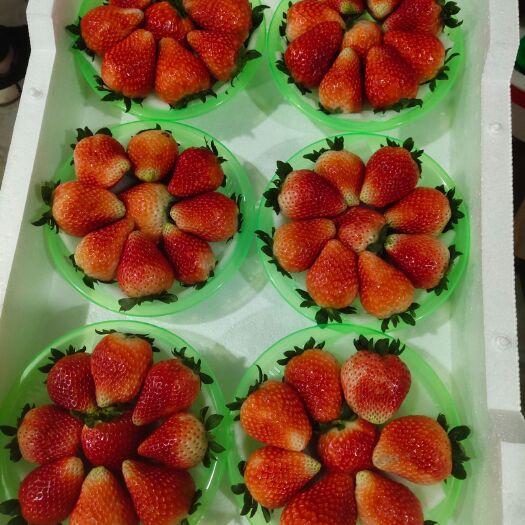 徐州红颜草莓 香甜可口