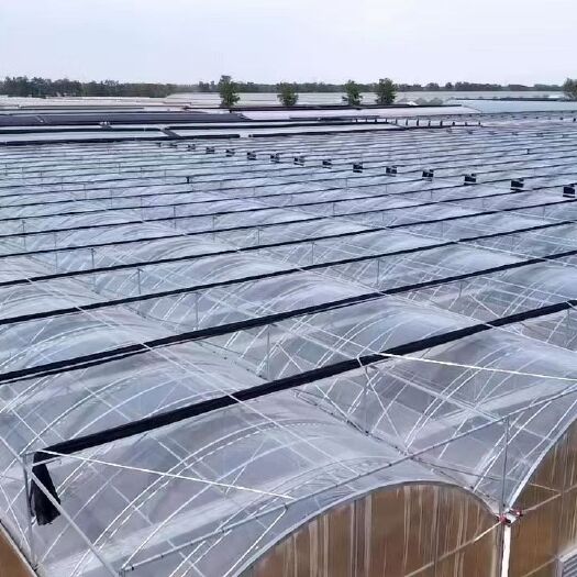 泊头市塑料薄膜温室大棚 连栋温室大棚