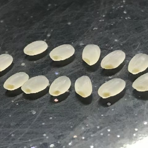 哈尔滨胚芽米  正宗东北带胚芽当季鲜米 圆粒米 一件代发 10斤包邮