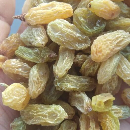 沧县红葡萄干  新疆吐鲁番市树上黄葡萄干，特级
