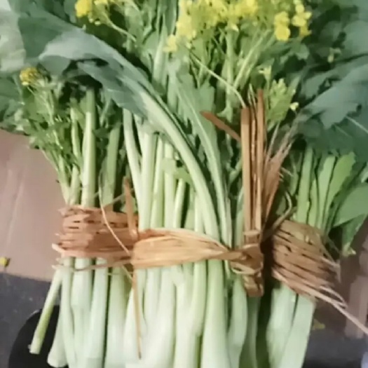 广州广州菜心  增城迟菜心
