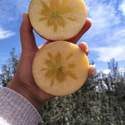 昭通 昭通丑苹果冰糖心甜脆多汁10斤包邮