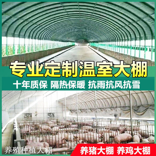 天津养殖大棚  钢管大棚 养殖鸡鸭鹅猪牛羊大棚 包塑管大棚，椭圆