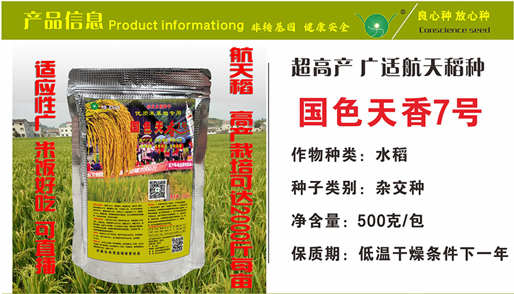 国色天香水稻品种产量图片