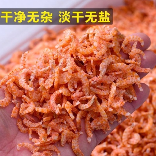 滨州南极鳞虾新鲜水产来自山东滨州沾化区