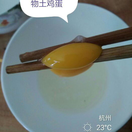 淳安县芦花鸡蛋  正宗土鸡假一赔百