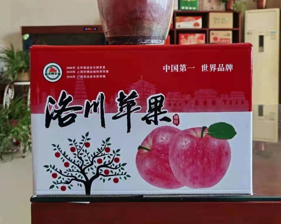 红富士苹果  洛川煊程果业一级果10斤装