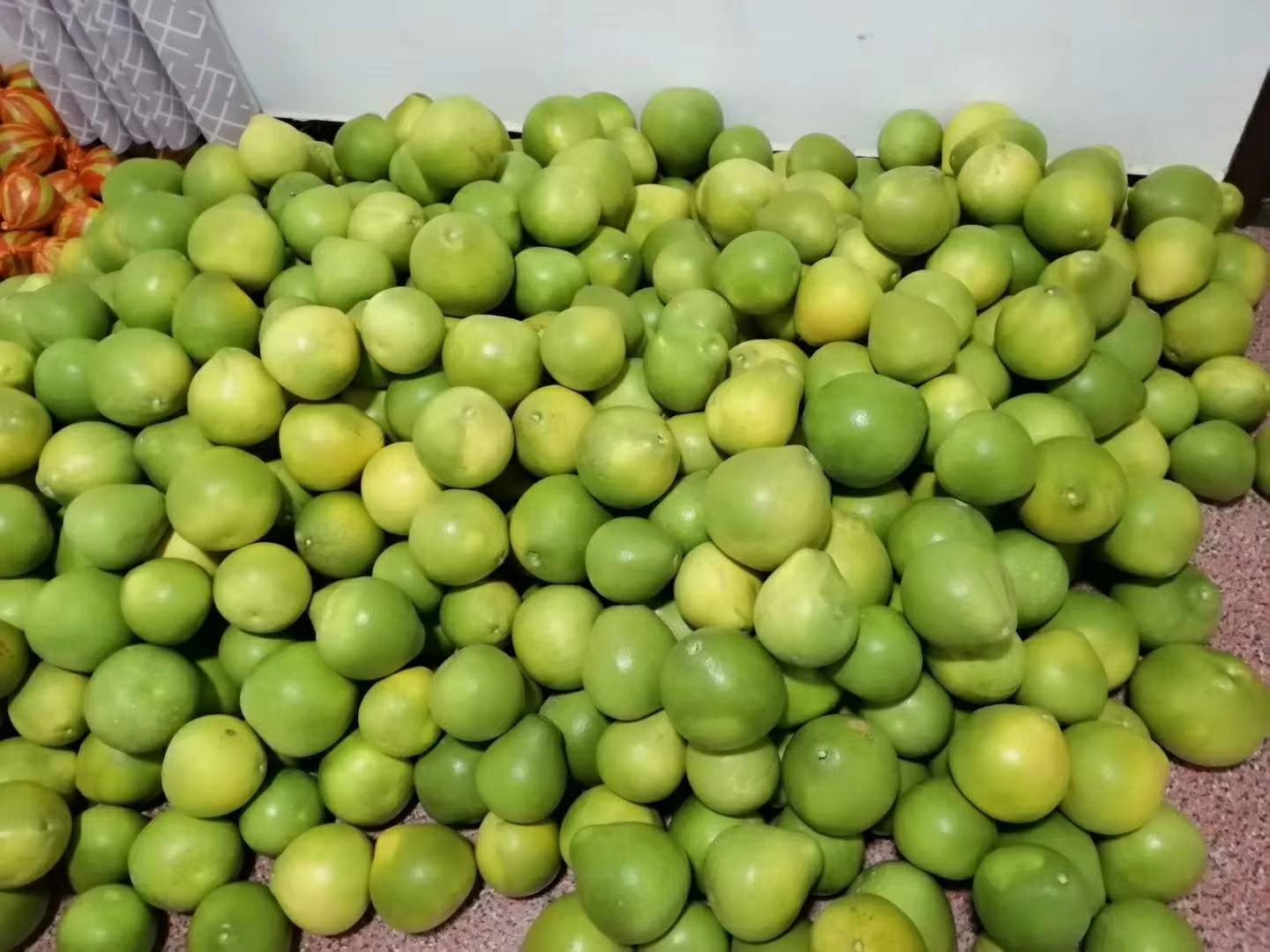 蜜柚 橙和王