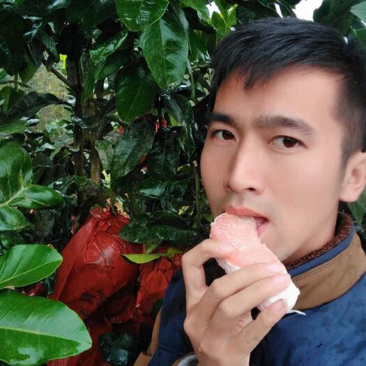 芷江县红心柚 