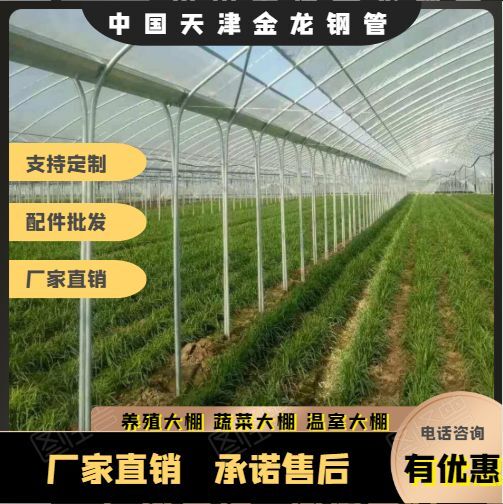 天津大棚骨架  养殖大棚种植大棚钢管大棚热镀锌钢管养羊棚养鸡大棚