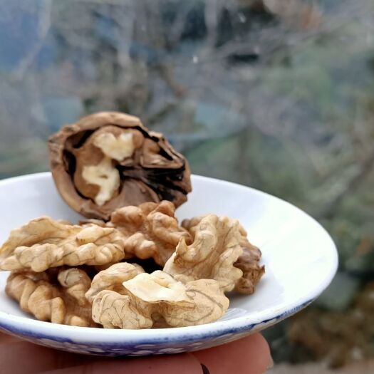 景东县 以浓香甘甜，蛋白质含量高为首的无量山大泡核桃