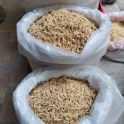 中药材，麦冬，干净新鲜颜色好，冷库保存，一件代发