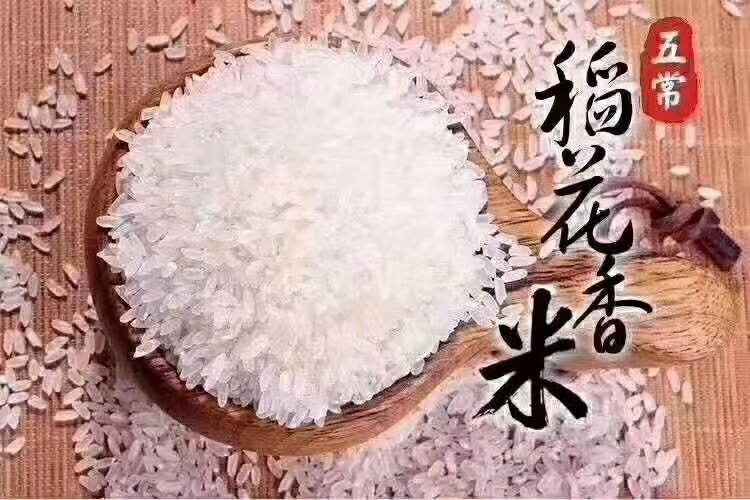 五常市长粒稻大米 一等品 晚稻 粳米 
