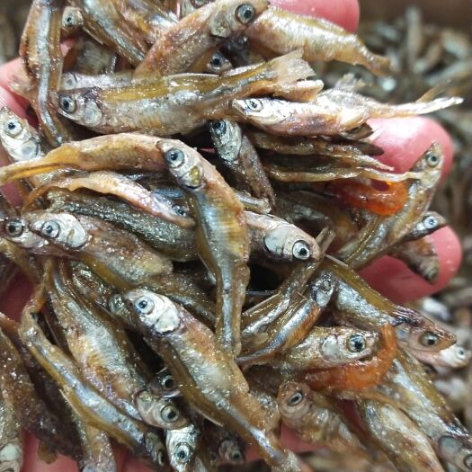 廉江市鱼干 1个月