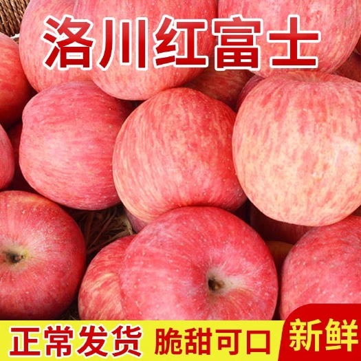 西安国光苹果  洛川苹果  陕西洛川红富士苹果当季新鲜水果冰糖心10斤整