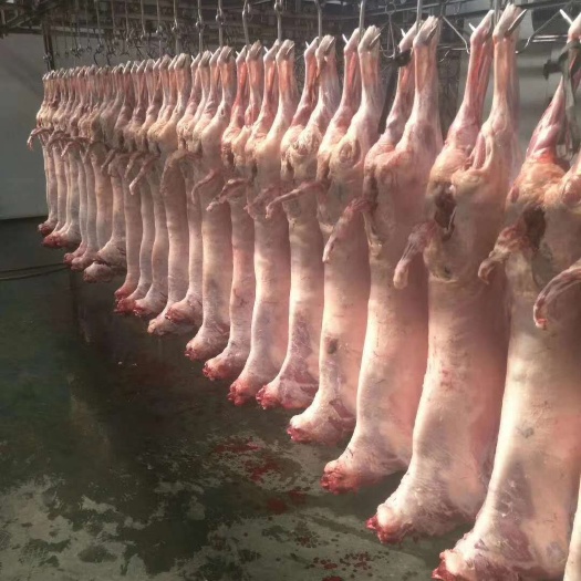 上海羊肉类  绵羊扒皮酮体批发