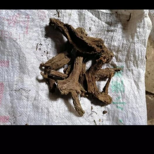 巫溪云木香 通货，干活。
