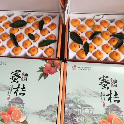 临海市正宗涌泉蜜桔宫川无核高山蜜桔礼盒30-40个装