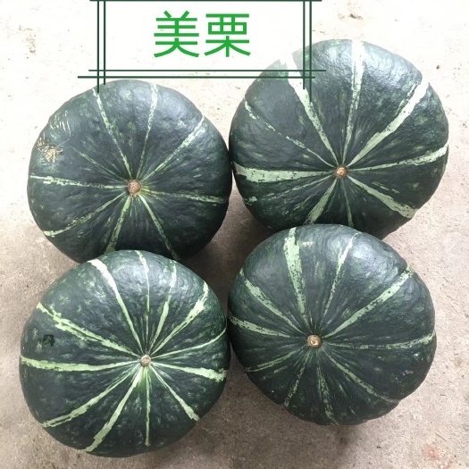 哈尔滨爱碧斯南瓜种  美栗南瓜—高端市场的选择，粉、甜、香、沙。