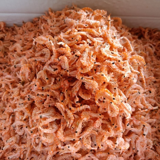 滨州磷虾干  磷虾，磷虾米，南极磷虾