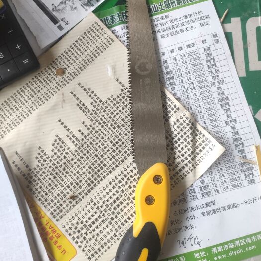 砀山县手锯 加腾锯
