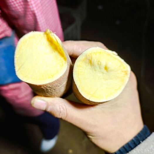 莒县济薯26地瓜，板栗薯，山东济薯26红薯地瓜