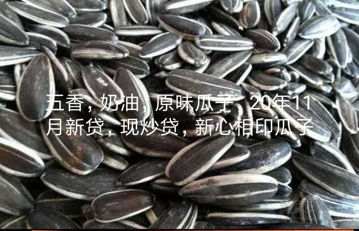 宁阳县瓜子新炒货 原味瓜子，奶油瓜子