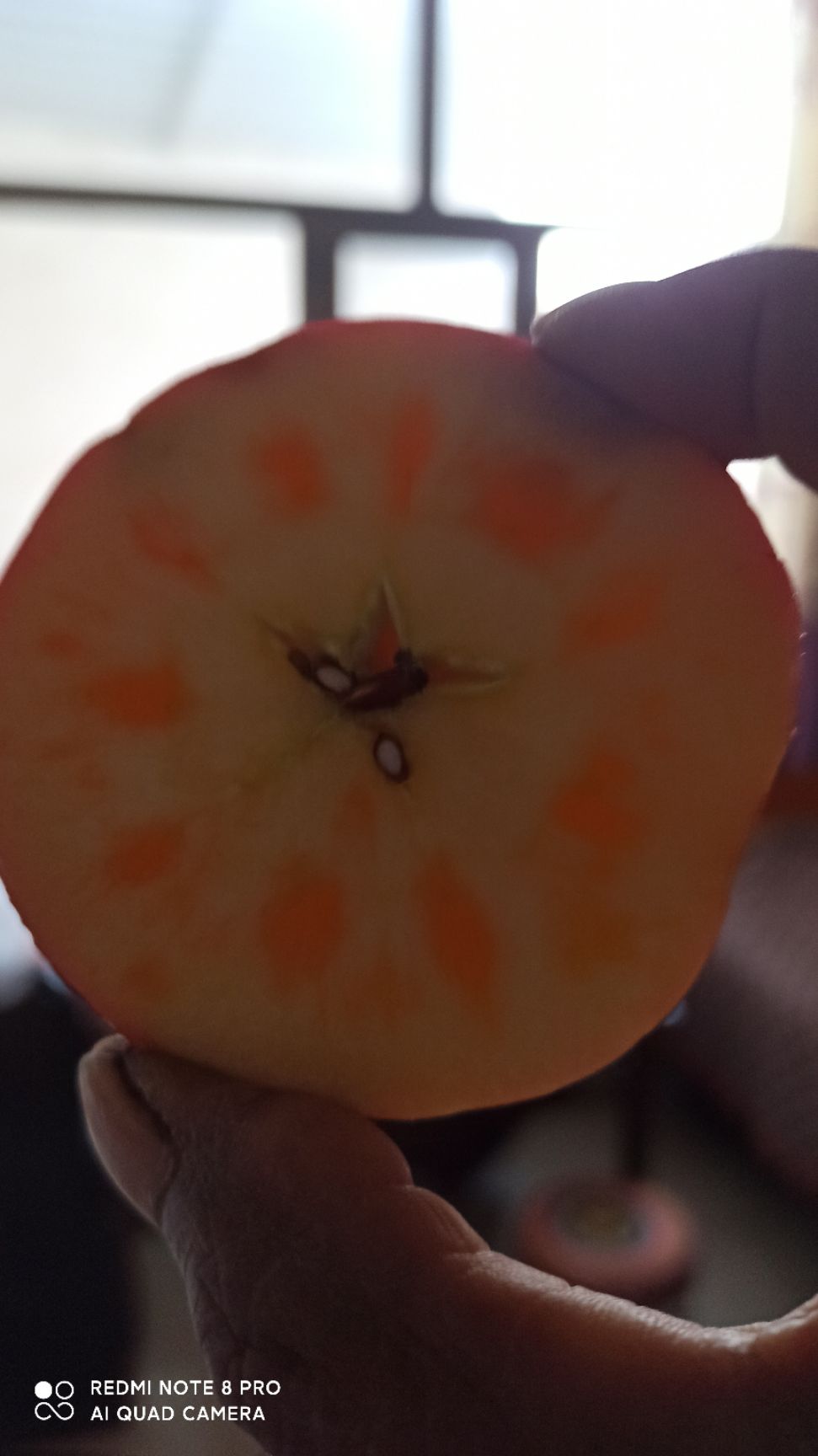 富平苹果 产地直销冰糖心富士苹果