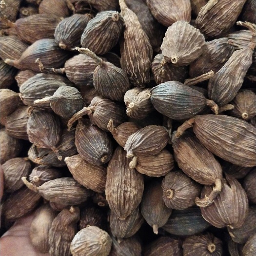 彭州市草果 
