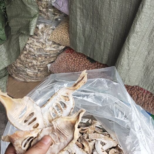 歙县毛竹笋干 正宗冬笋芽头片，片宽无节，全实心
