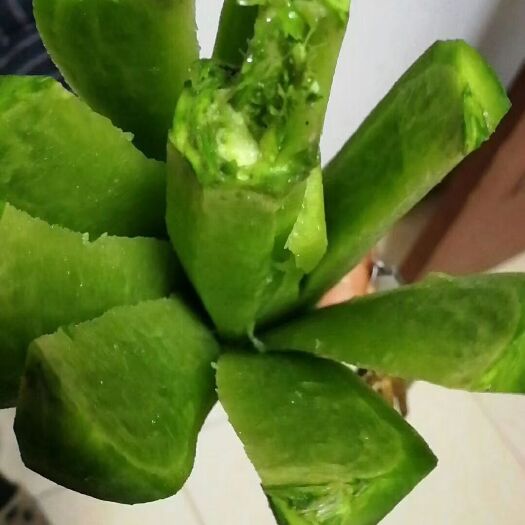 潍坊潍县萝卜 0.2~1斤 