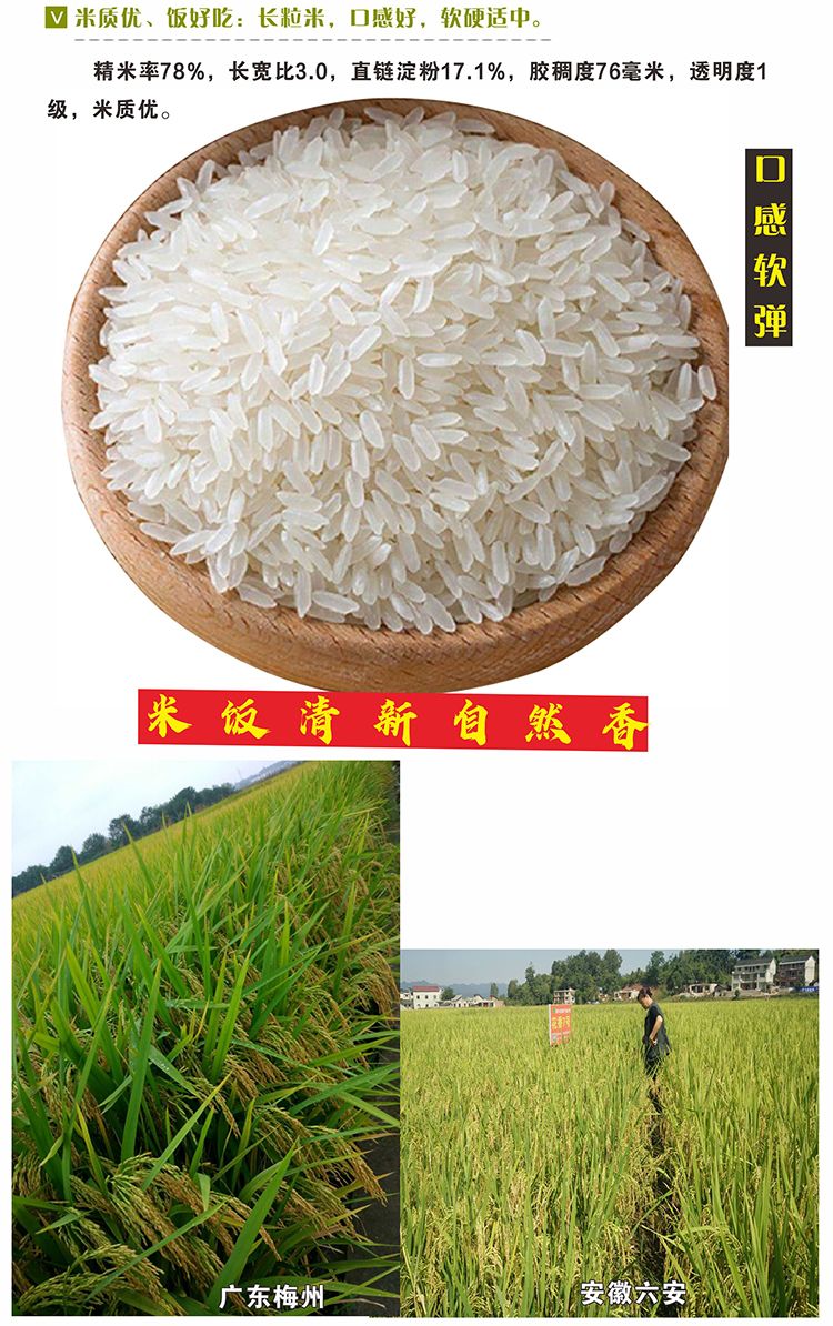 垦稻50水稻种子图片