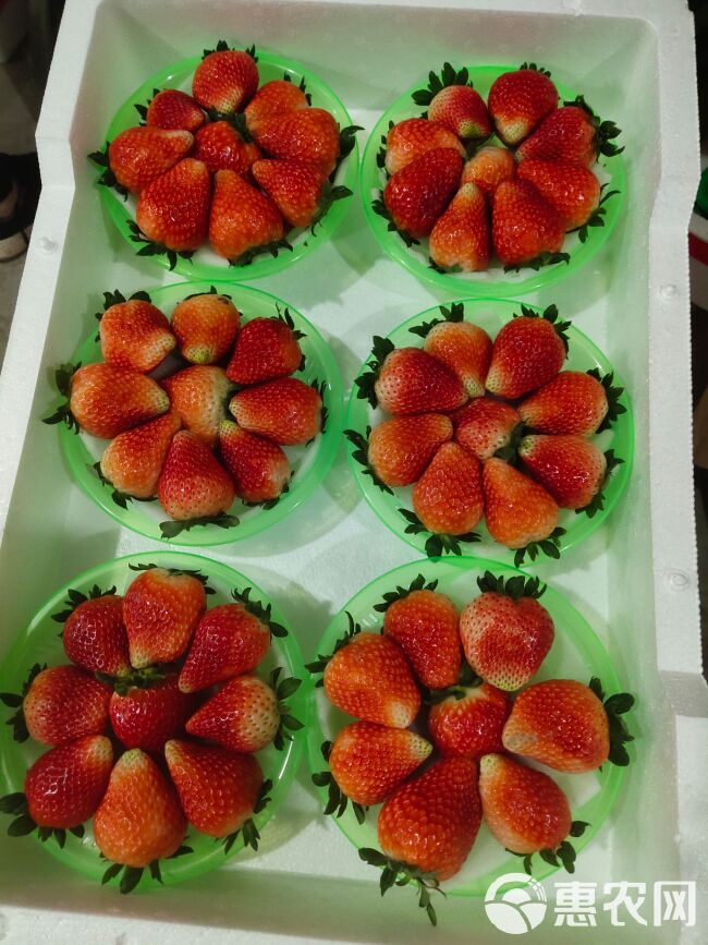 丹东草莓 香甜可口