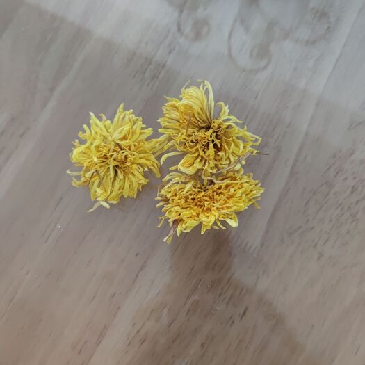 景县金丝皇菊花茶 金丝皇菊批发