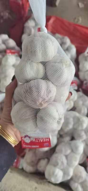 金乡县红皮蒜  常年供应各种规格的精品金乡大蒜，可以安客户要求加工