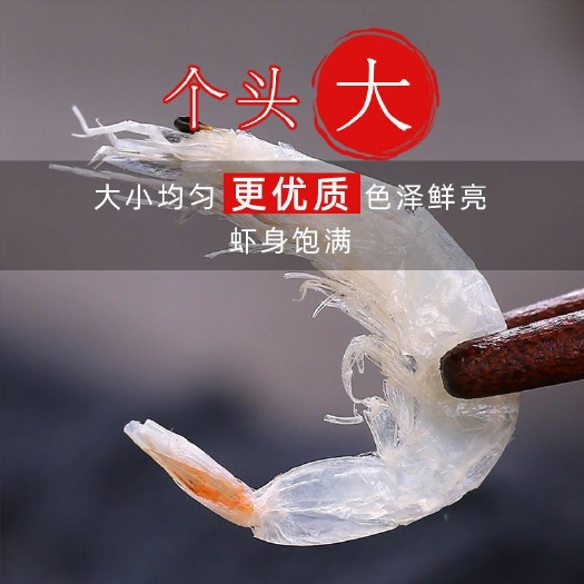 滨州虾皮 水晶虾皮 淡干无盐 无杂质 各种规格可选 支持一件代发