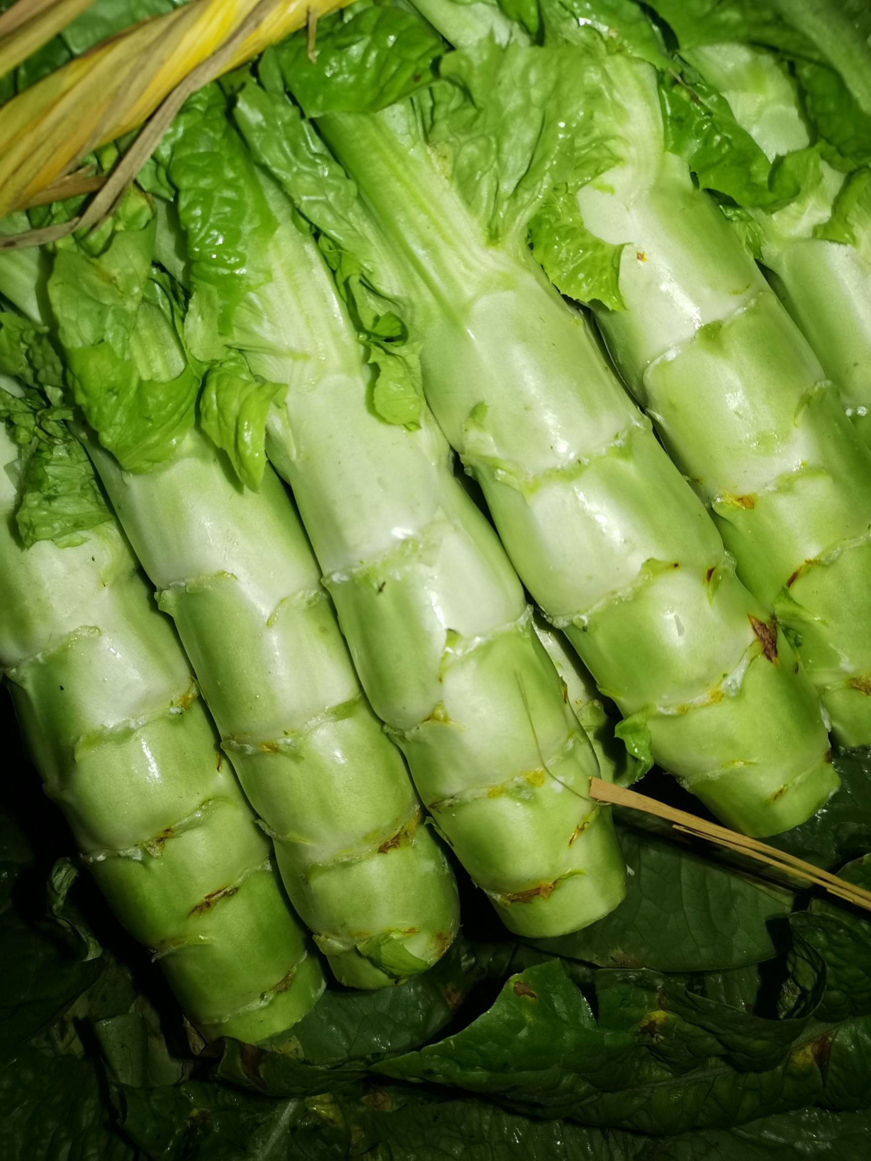 青叶莴笋 竹筒青,红尖叶,黑牛皮