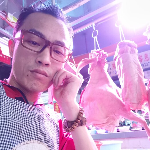 惠州白条羊  生鲜羊肉