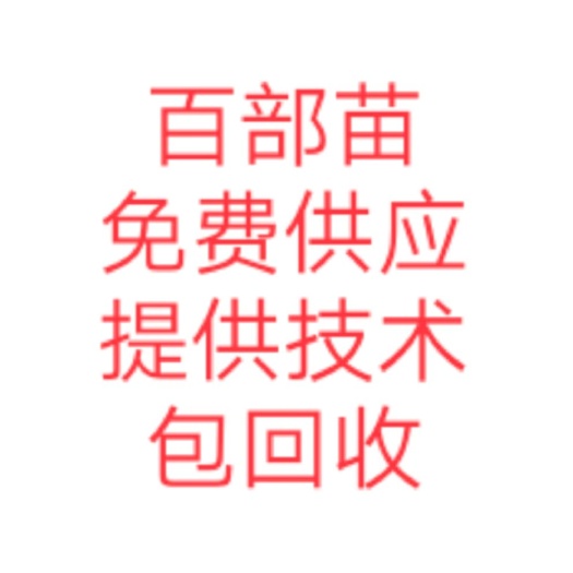 百部  免费供应苗，100亩起开始种植，还有各种药材种植订单，